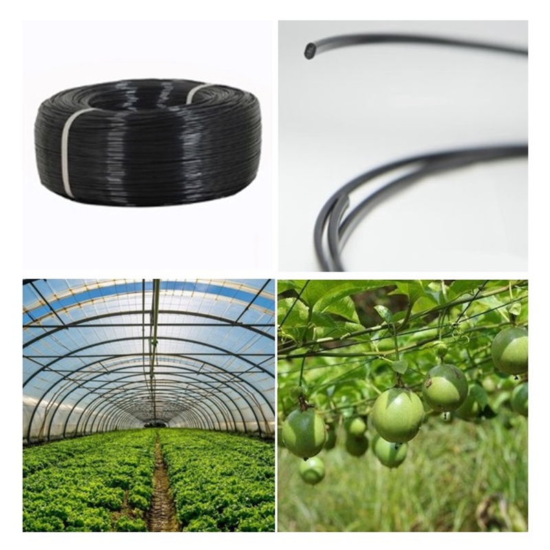 Vine Climbing Plastic - 50m Plastic Steel Wire Agriculture Greenhouse