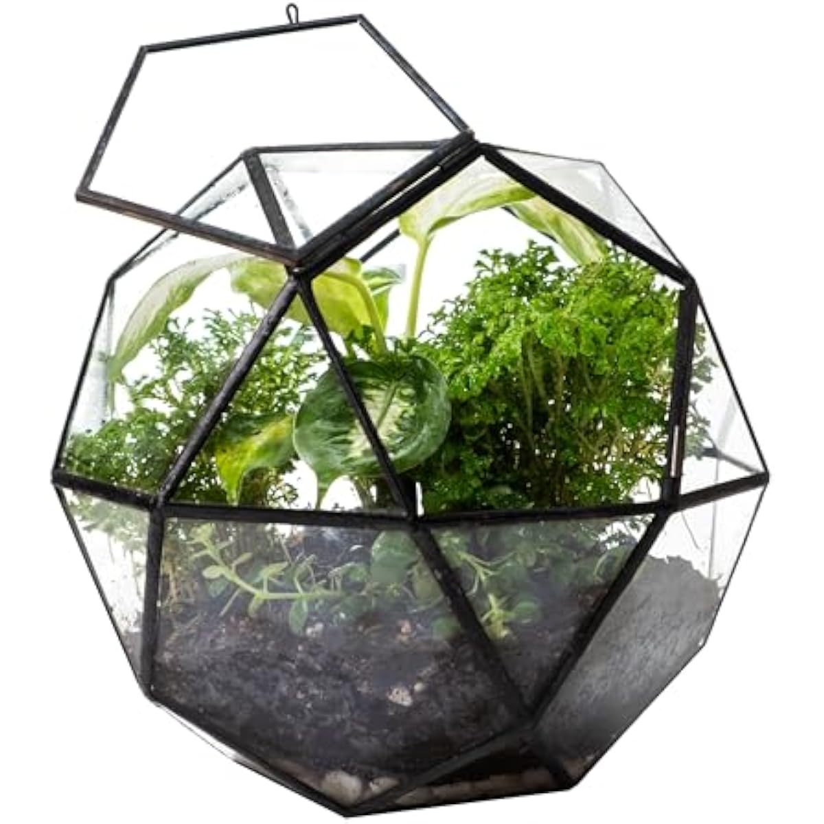 Geometric sphere terrarium wit - Glass Door Hinge review and price
