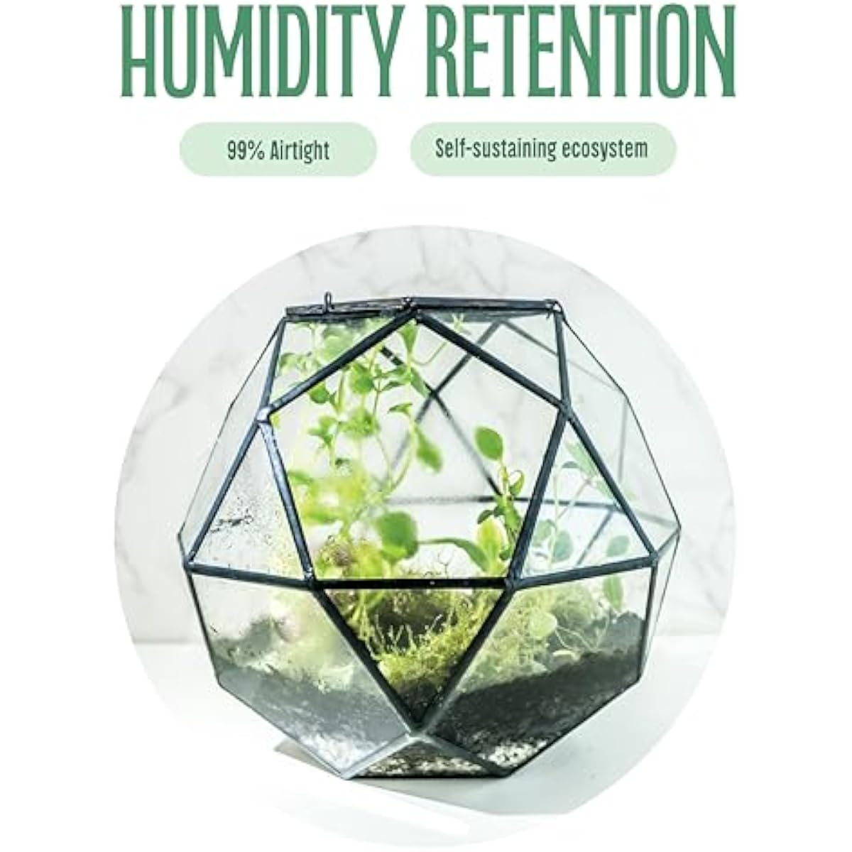 Geometric sphere terrarium wit - Glass Door Hinge review and price