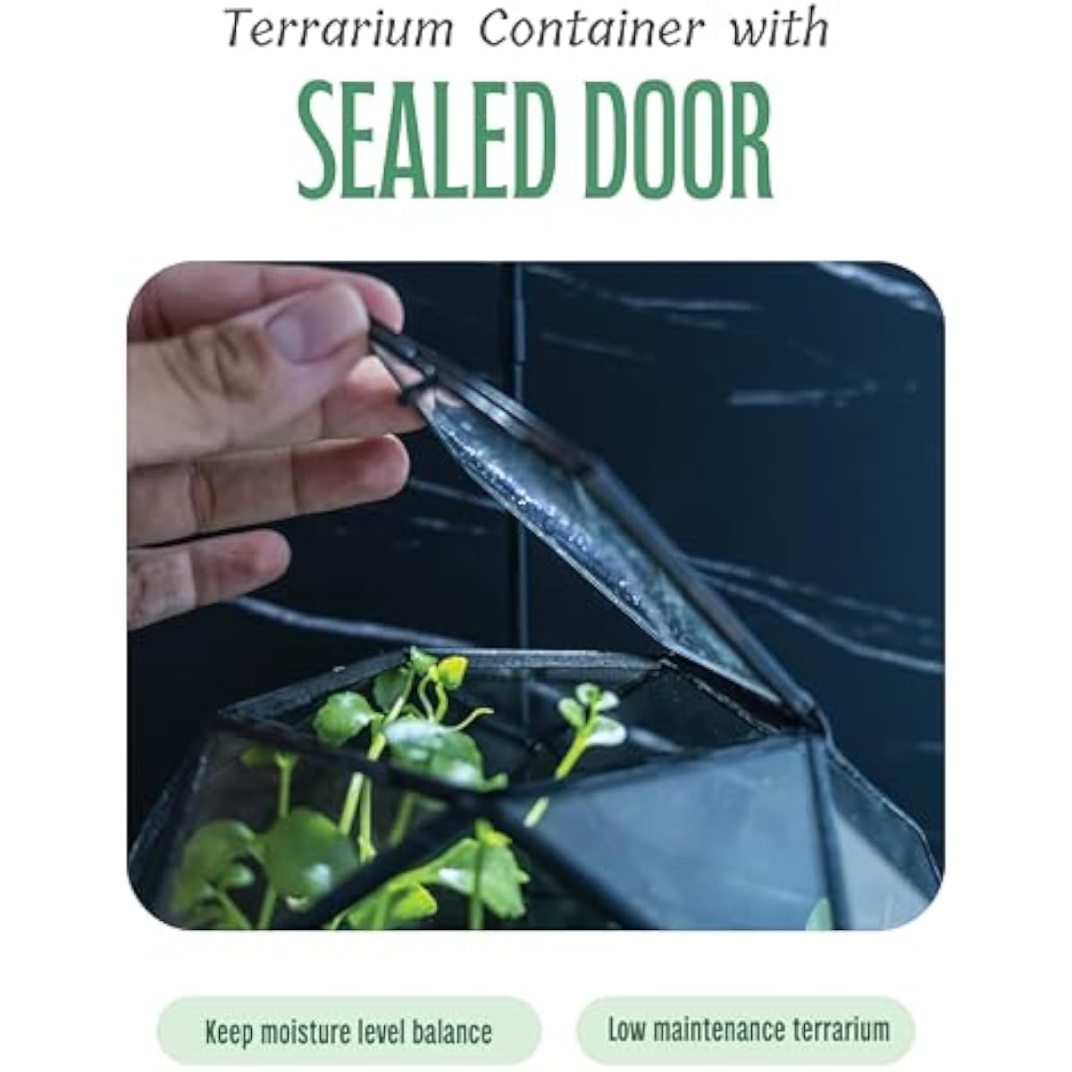 Geometric sphere terrarium wit - Glass Door Hinge review and price