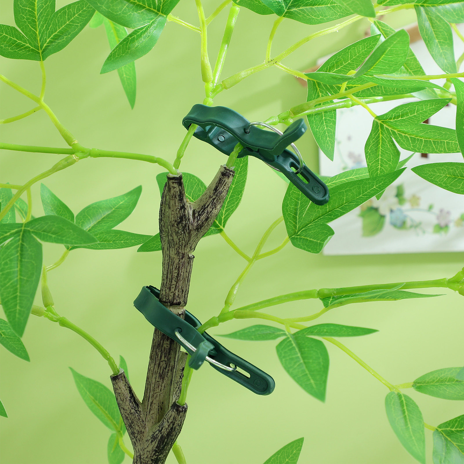 50Pcs Plant Support Clamp Plas - Vine Climbing Plastic review and price