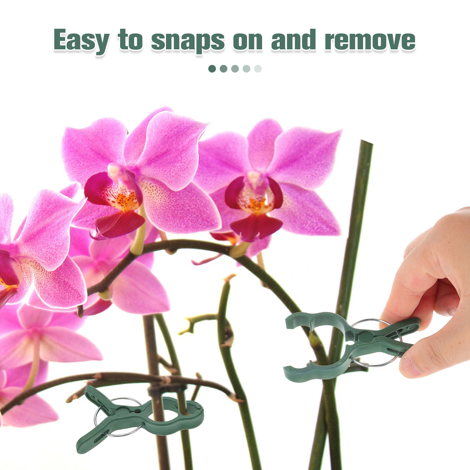 50Pcs Plant Support Clamp Plas - Vine Climbing Plastic review and price