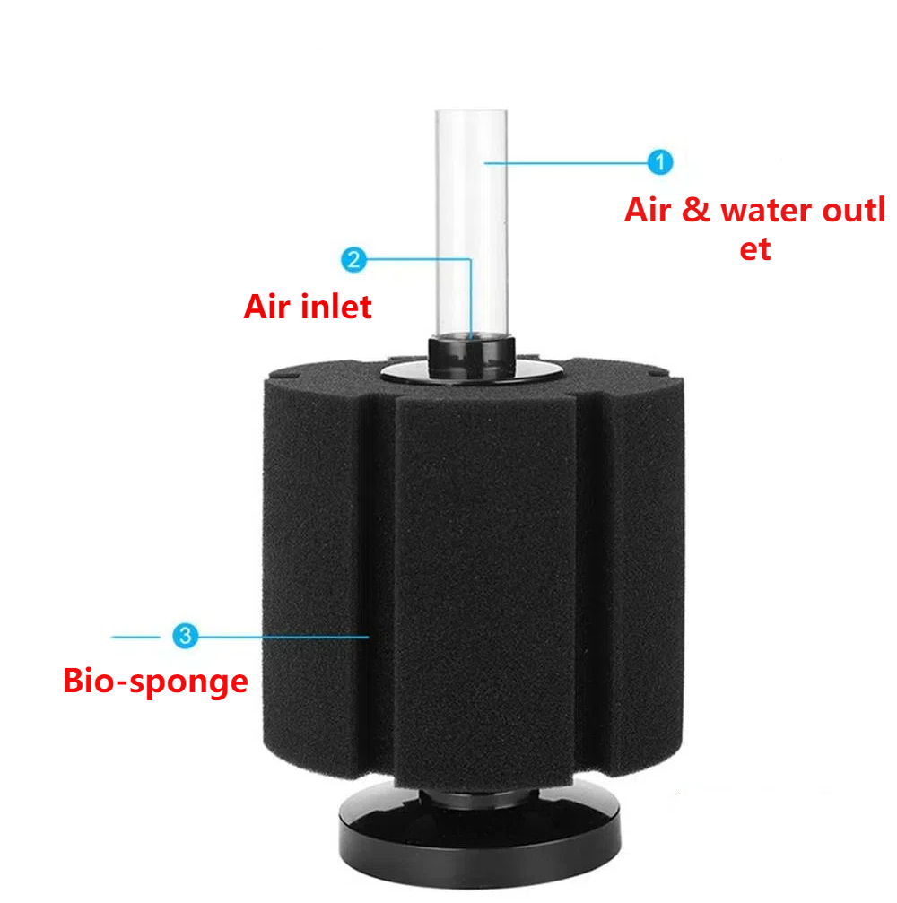 Aquarium Filter Sponge For Fis - Aquael Filter Fzn review and price