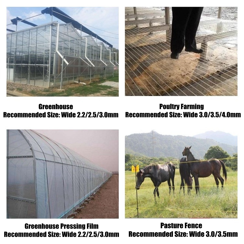 50m Plastic Steel Wire Agricul - Vine Climbing Plastic review and price