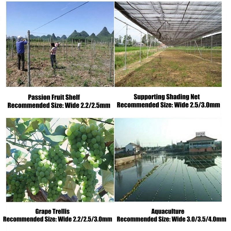 50m Plastic Steel Wire Agricul - Vine Climbing Plastic review and price