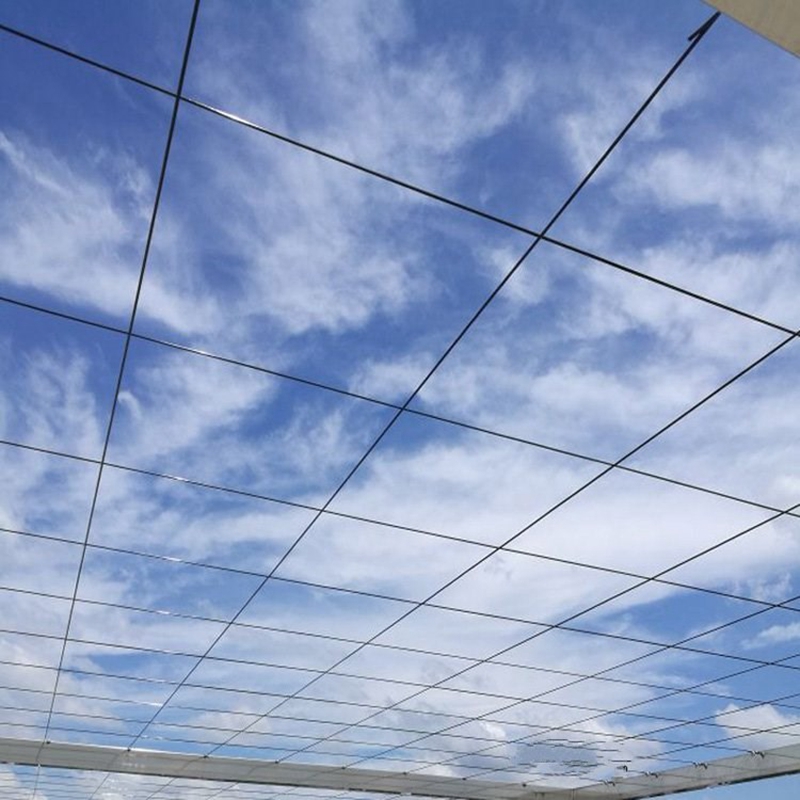 50m Plastic Steel Wire Agricul - Vine Climbing Plastic review and price