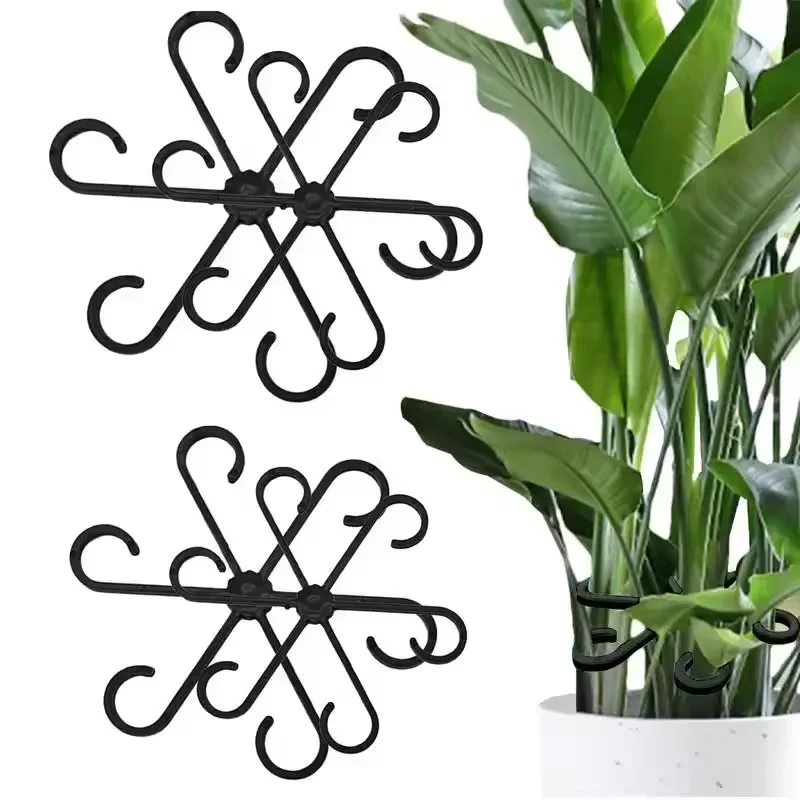 Stem Support Alocasia Monstera - Vine Climbing Plastic review and price
