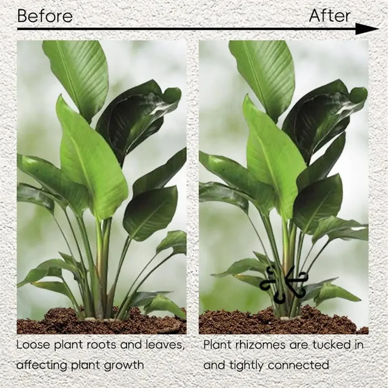 Stem Support Alocasia Monstera - Vine Climbing Plastic review and price