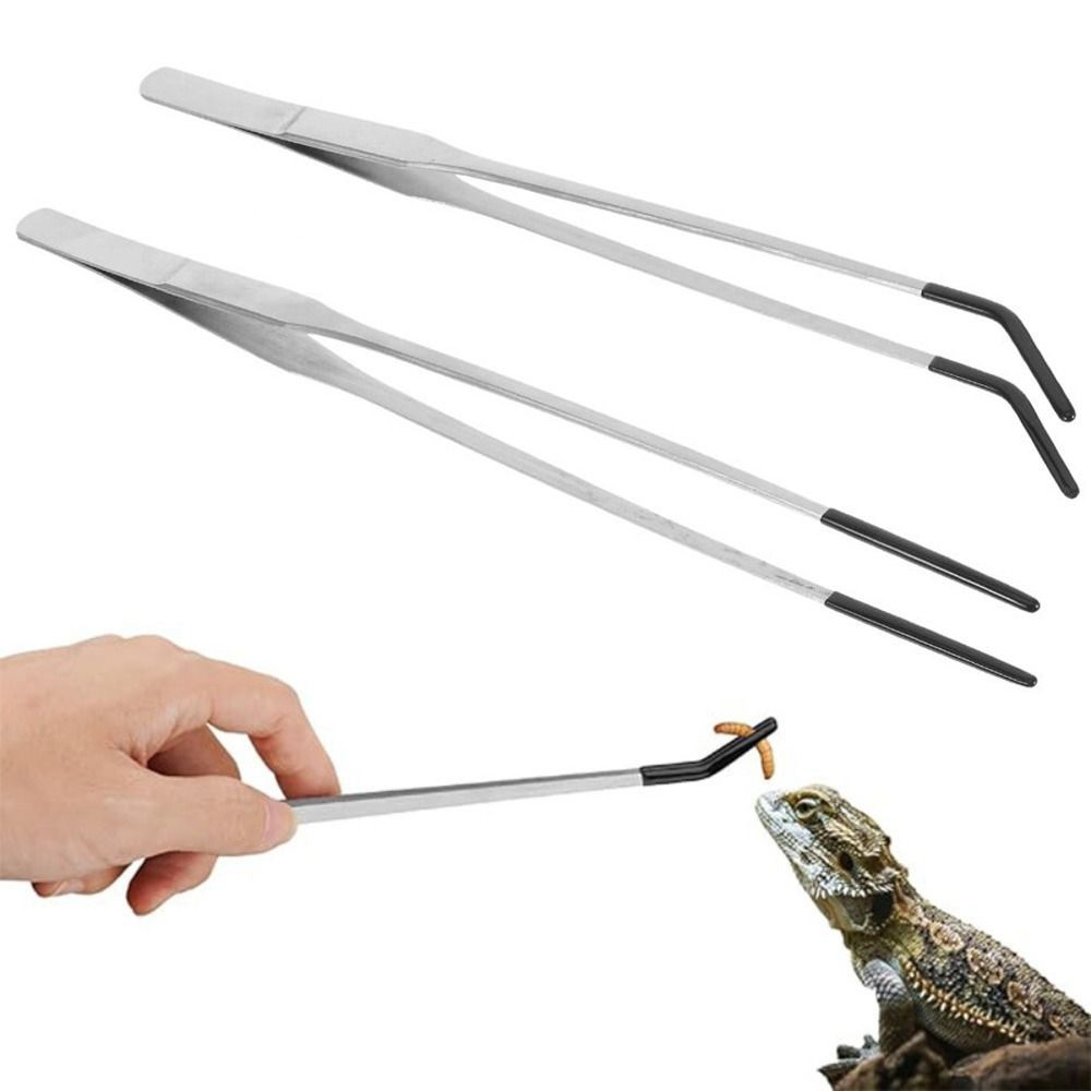2Pcs Stainless Steel Aquarium  - Feeding Tong Stainless review and price