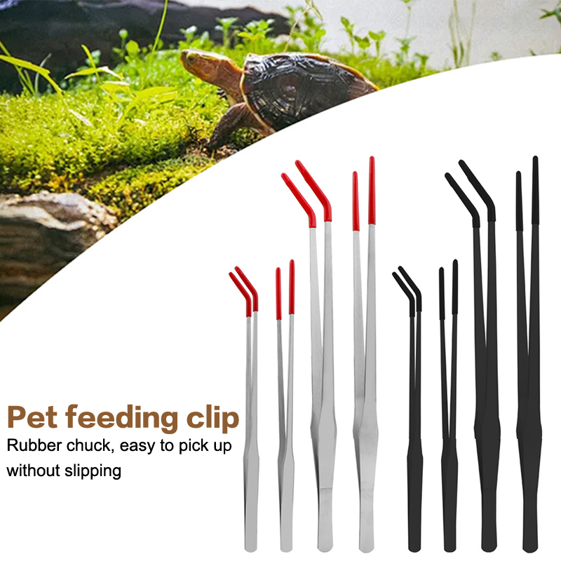 Stainless Steel Reptile Feedin - Feeding Tong Stainless review and price