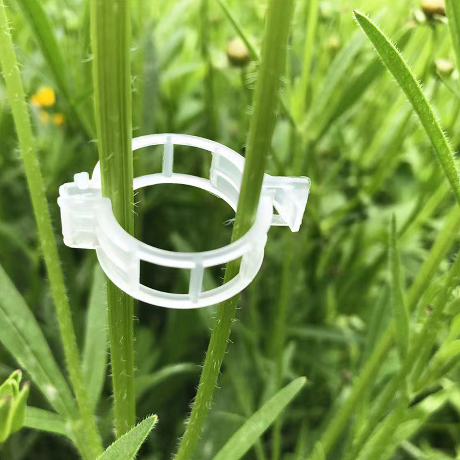 Secured Plastic Plant Clip for - Vine Climbing Plastic review and price