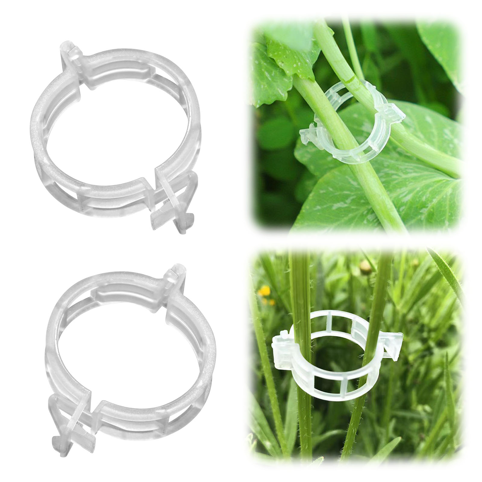 Secured Plastic Plant Clip for - Vine Climbing Plastic review and price