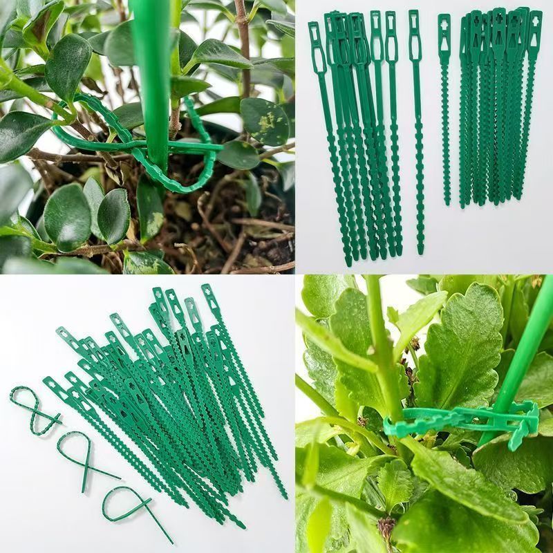 Green Reusable Plant Ties Adju - Vine Climbing Plastic review and price